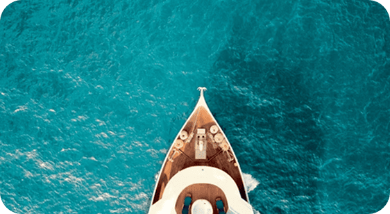 Curating Exclusivity